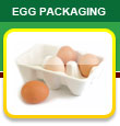 Egg Packaging